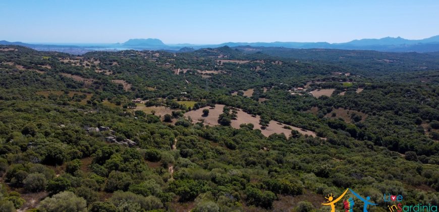 Country Home For Sale Telti Sardinia ref Pisiddone
