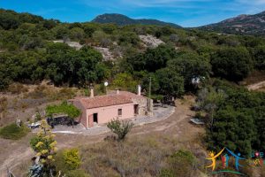 Country Home For Sale Telti Sardinia ref Pisiddone