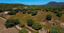 Country Home For Sale Telti Sardinia ref Pisiddone