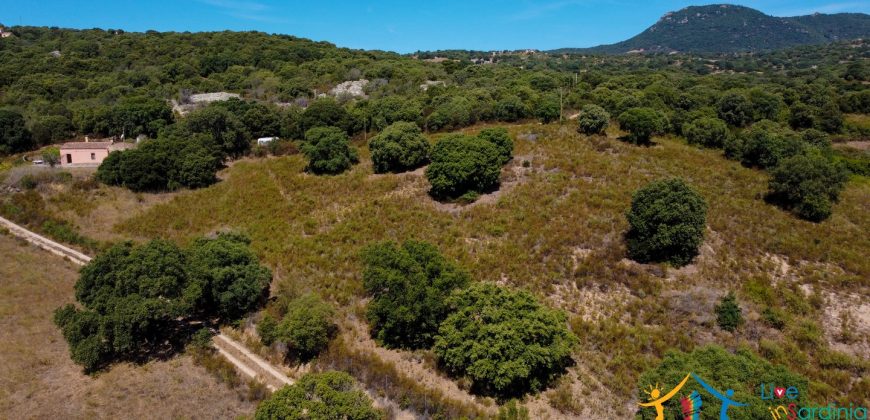 Country Home For Sale Telti Sardinia ref Pisiddone