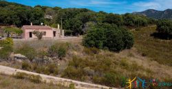 Country Home For Sale Telti Sardinia ref Pisiddone
