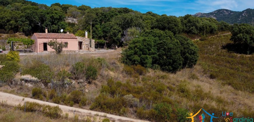 Country Home For Sale Telti Sardinia ref Pisiddone
