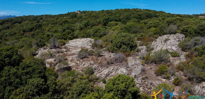 Country Home For Sale Telti Sardinia ref Pisiddone