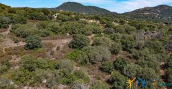 Country Home For Sale Telti Sardinia ref Pisiddone