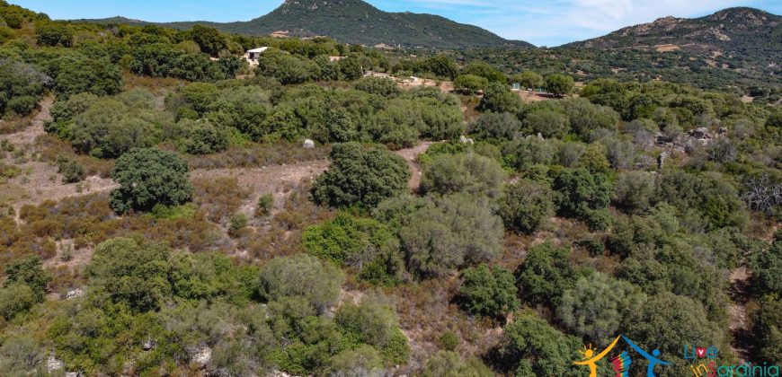 Country Home For Sale Telti Sardinia ref Pisiddone