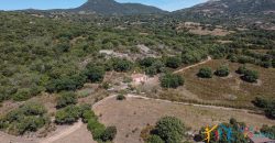 Country Home For Sale Telti Sardinia ref Pisiddone