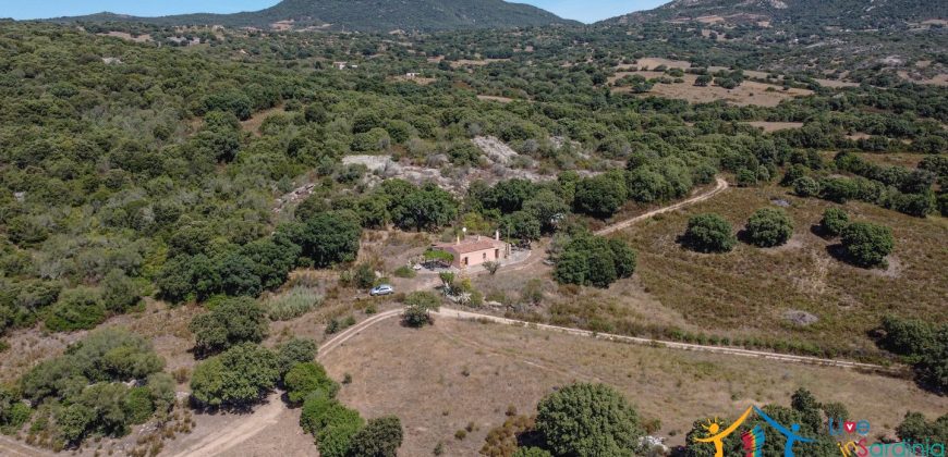 Country Home For Sale Telti Sardinia ref Pisiddone