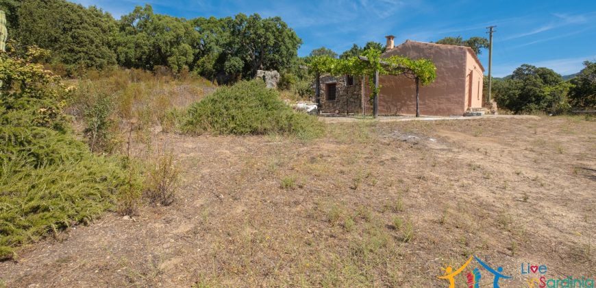 Country Home For Sale Telti Sardinia ref Pisiddone