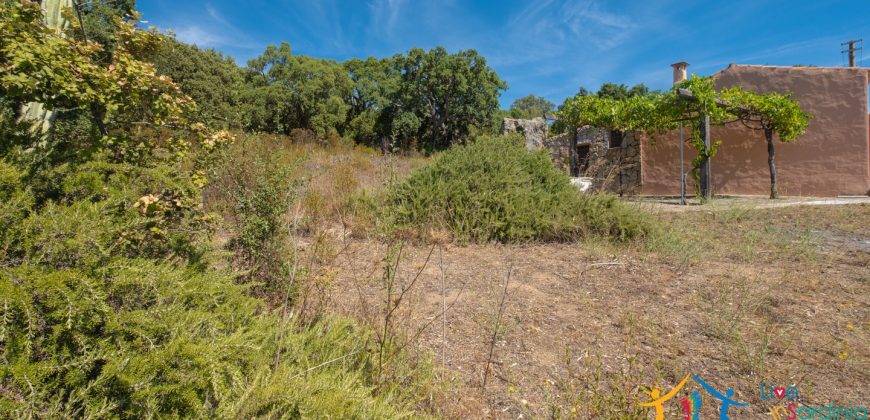 Country Home For Sale Telti Sardinia ref Pisiddone