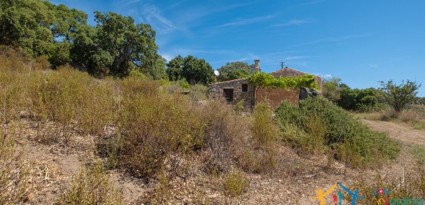 Country Home For Sale Telti Sardinia ref Pisiddone