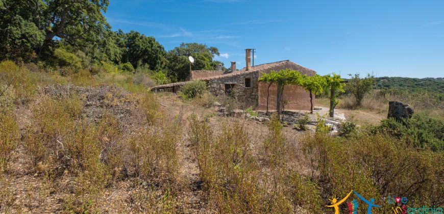 Country Home For Sale Telti Sardinia ref Pisiddone