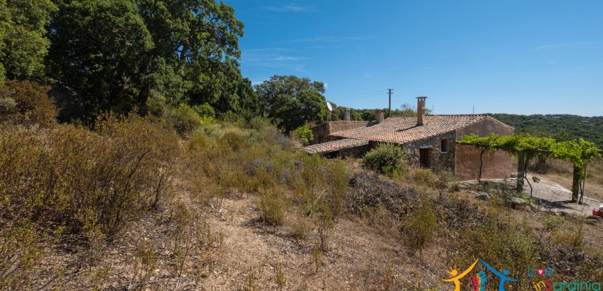 Country Home For Sale Telti Sardinia ref Pisiddone
