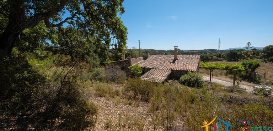Country Home For Sale Telti Sardinia ref Pisiddone