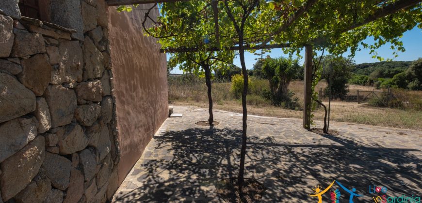 Country Home For Sale Telti Sardinia ref Pisiddone