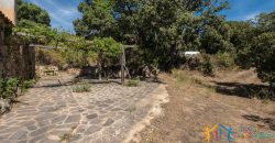Country Home For Sale Telti Sardinia ref Pisiddone