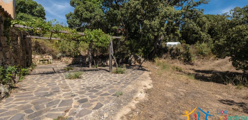 Country Home For Sale Telti Sardinia ref Pisiddone