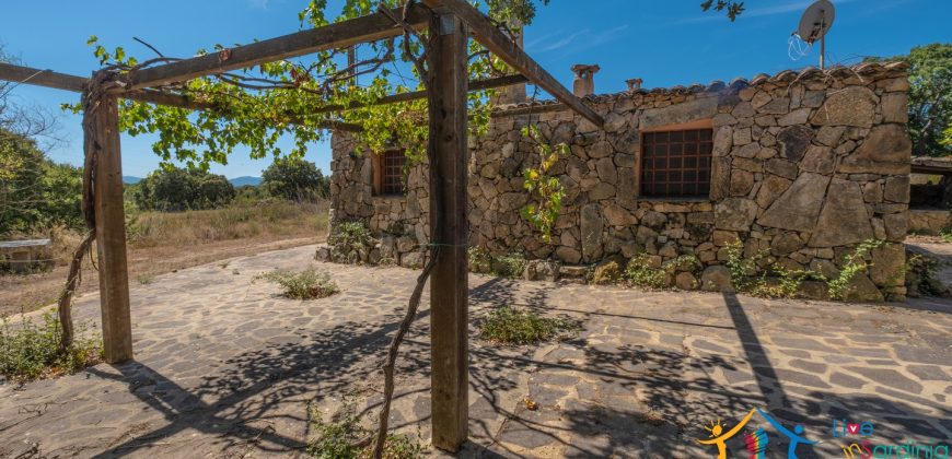 Country Home For Sale Telti Sardinia ref Pisiddone