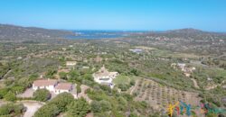 Sea View Villa For Sale Olbia Italy ref Belvedere