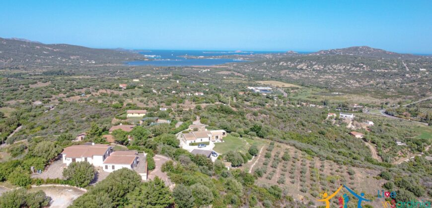 Sea View Villa For Sale Olbia Italy ref Belvedere