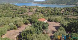 Stazzo For Sale Gallura ref Fichicani