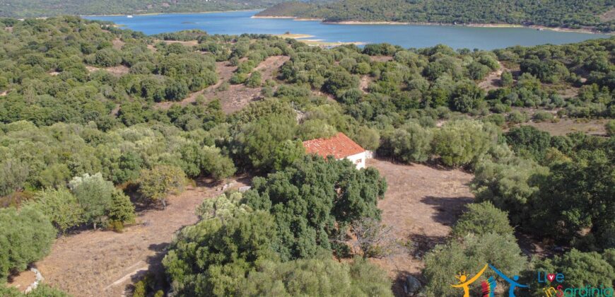 Stazzo For Sale Gallura ref Fichicani