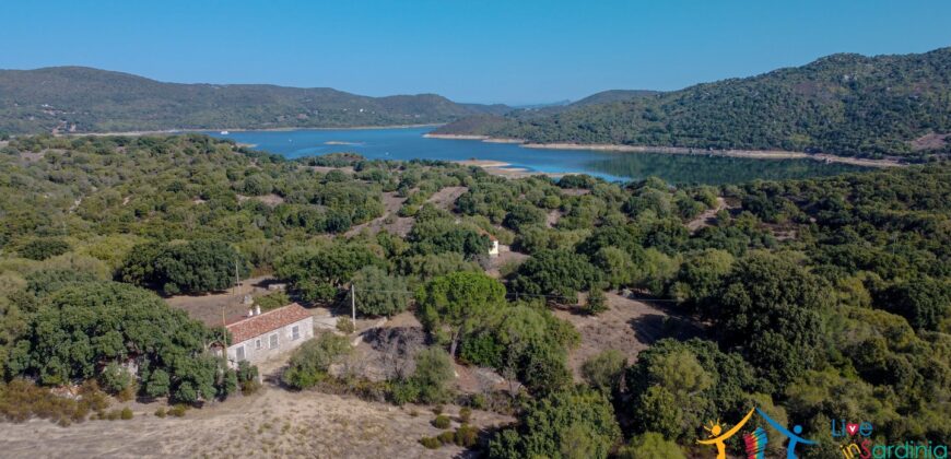 Stazzo For Sale Gallura ref Fichicani