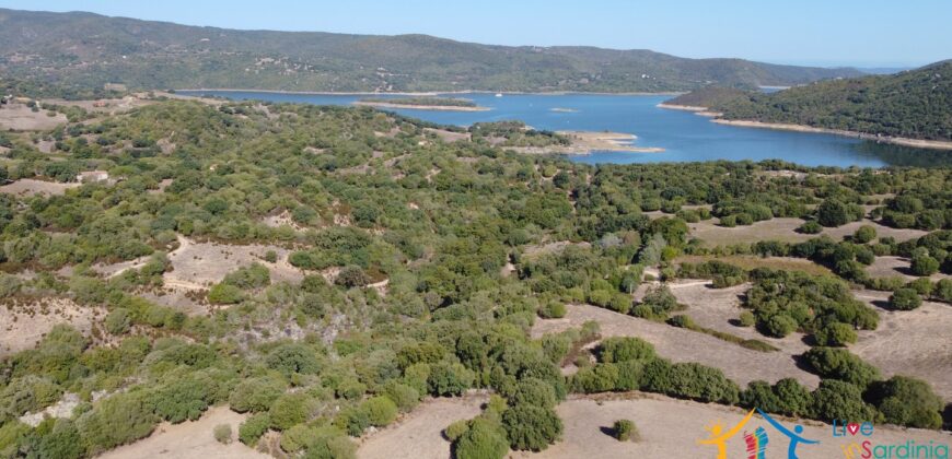 Stazzo For Sale Gallura ref Fichicani