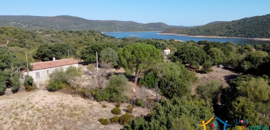 Stazzo For Sale Gallura ref Fichicani