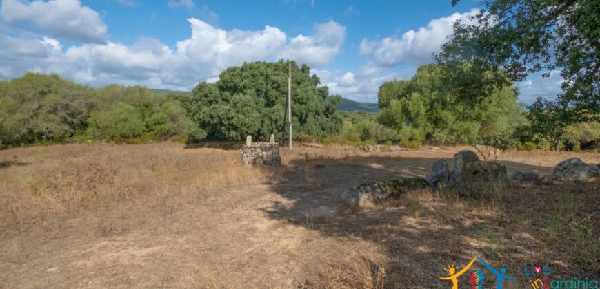 Stazzo For Sale Gallura ref Fichicani