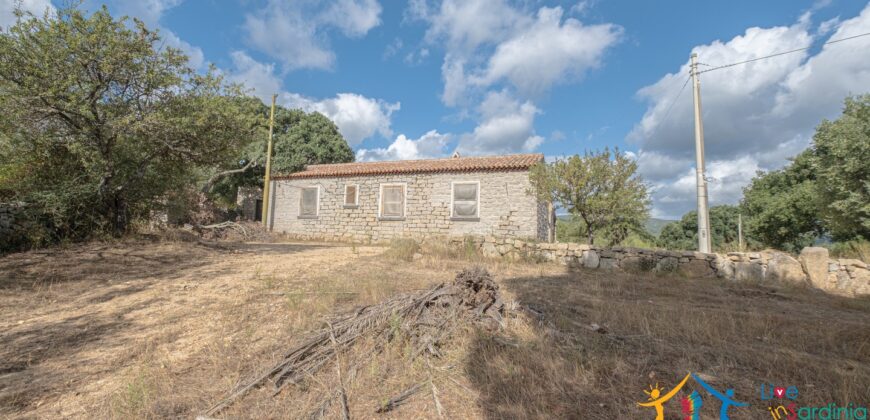 Stazzo For Sale Gallura ref Fichicani