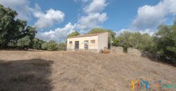 Stazzo For Sale Gallura ref Fichicani