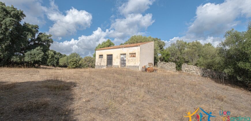 Stazzo For Sale Gallura ref Fichicani