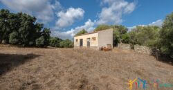 Stazzo For Sale Gallura ref Fichicani