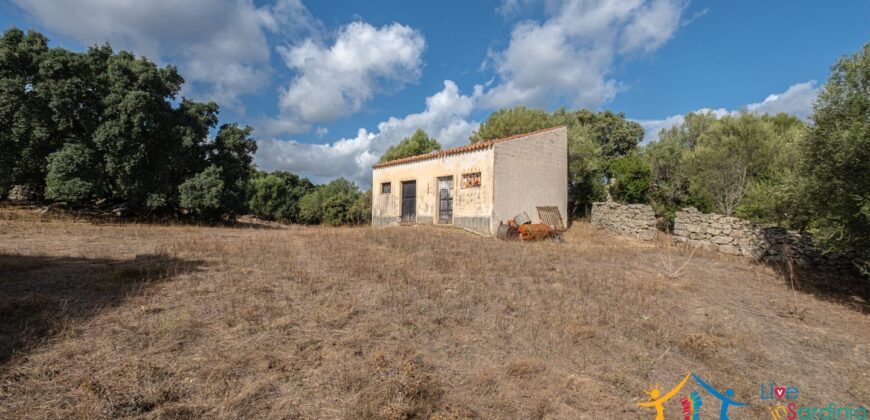 Stazzo For Sale Gallura ref Fichicani