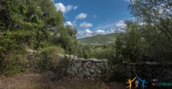 Stazzo For Sale Gallura ref Fichicani