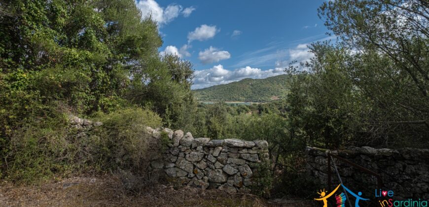 Stazzo For Sale Gallura ref Fichicani