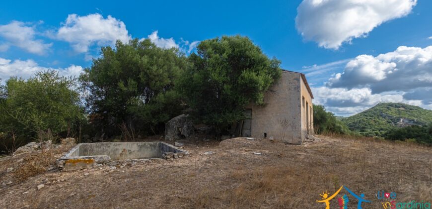 Stazzo For Sale Gallura ref Fichicani