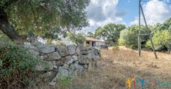 Stazzo For Sale Gallura ref Fichicani