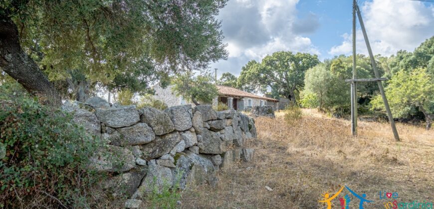 Stazzo For Sale Gallura ref Fichicani