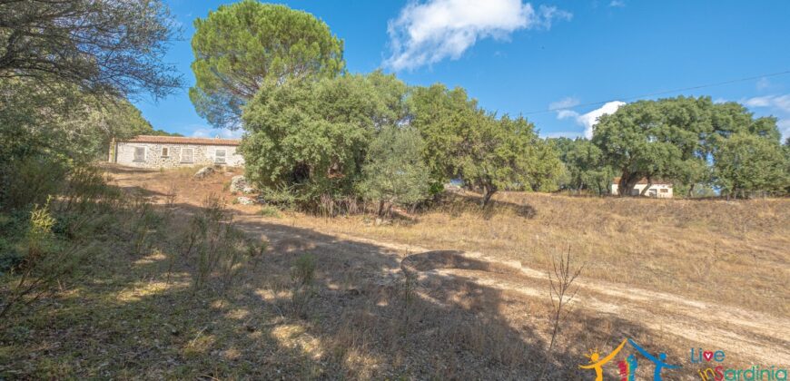 Stazzo For Sale Gallura ref Fichicani