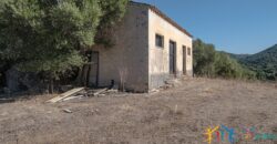 Stazzo For Sale Gallura ref Fichicani