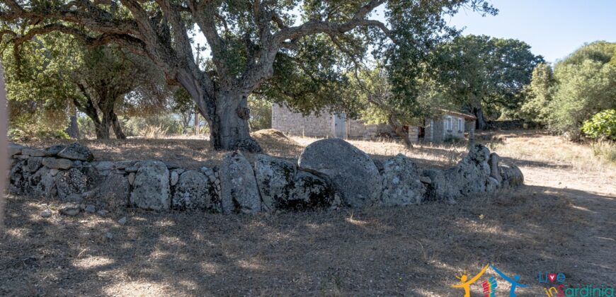 Stazzo For Sale Gallura ref Fichicani