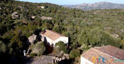 Villa For Sale San Pantaleo ref Petra Segreta