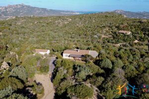 Villa For Sale San Pantaleo ref Petra Segreta