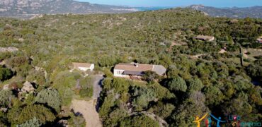 Villa For Sale San Pantaleo ref Petra Segreta