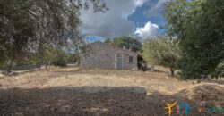 Stazzo For Sale Gallura ref Fichicani