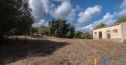 Stazzo For Sale Gallura ref Fichicani