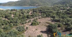 Stazzo For Sale Gallura ref Fichicani