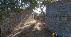 Stazzo For Sale Gallura ref Fichicani