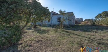 Farmhouse For Sale Olbia Sardinia ref Cuncosu
